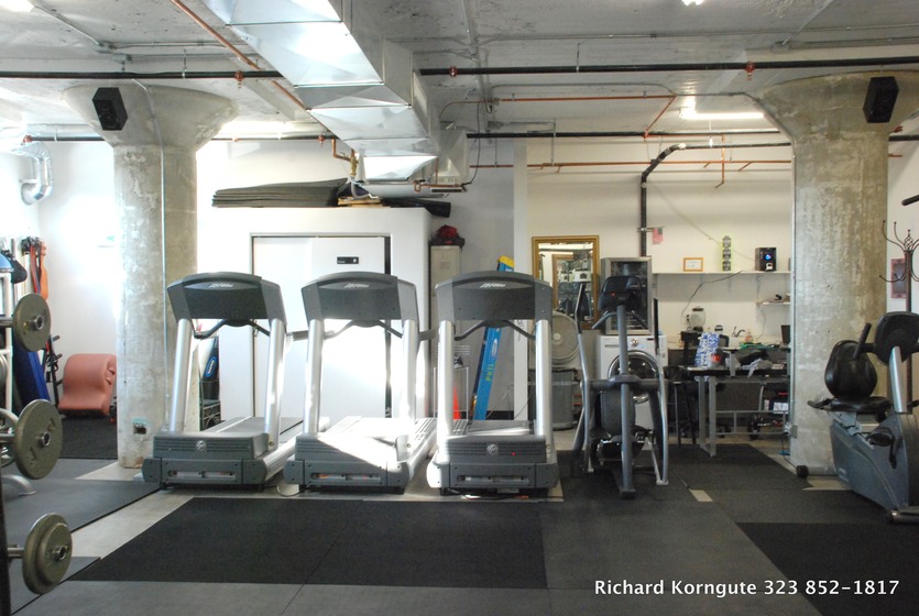 06-Fish Gym-005.JPG