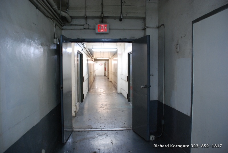 117-DSC 4504.JPG